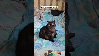 Вот повезло, не дурак я родился 😉