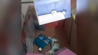 Abertura de Caixa ciclo 20 Natura!!!
