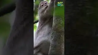 Omg😱 so High!​​