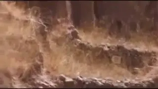 Фальшивая Троя Шлимана