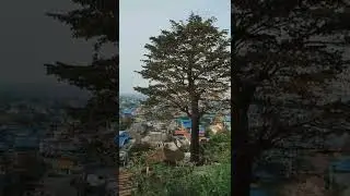 Whole city view of Dharan #nepal #nepali #city #shorts