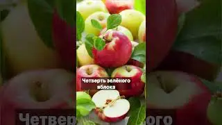 Очищение организма 