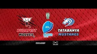 XII. Duna Bowl Wolves2 vs Mustangs