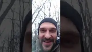 Собираю ветки