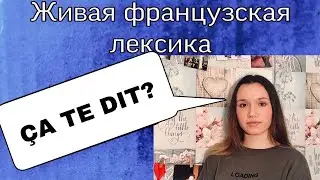 СУПЕР ФРАЗОЧКА НА ФРАНЦУЗСКОМ : ÇA TE DIT? ÇA TE PARLE?