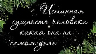 254 🍉 WHAT A PERSON REALLY IS | Tarot spread online