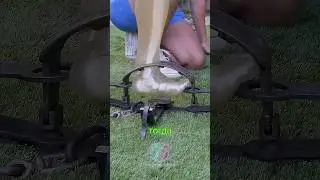 Did hunters really build a trap that ultimately protected the animals? 🤯 Bear trap 