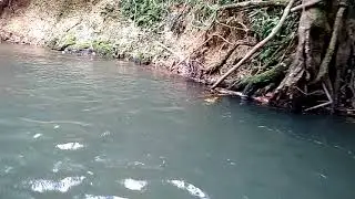 Таиланд, Као Лаг - сплавляемся на плотах ч1