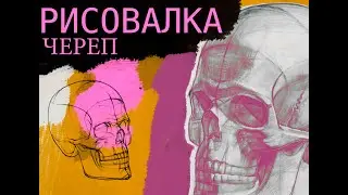 Как нарисовать череп поэтапно? Учимся как нарисовать череп человека.
