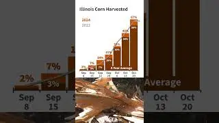 Illinois Crop Progress Report for Week Ending October 20, 2024 #usda