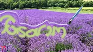 PHOTOSHOP DERSLERİ Photoshop da geçmişe dönme fırçası ve resim geçmişe dönme fırçası aracı