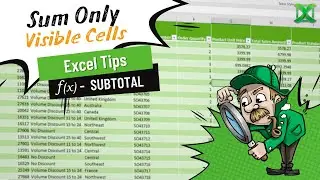 Excel - Sum only visible cells | Excel Tips 79