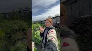 Украла арбуз