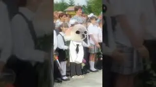 Я знаю что качество плохое/ можно актив?(((