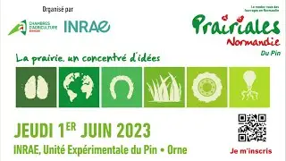 Prairiales 2023 : un concentré d'idées !