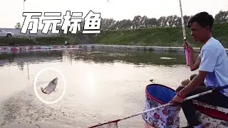 The owner of this fishing farm is really dark, and the price starts!