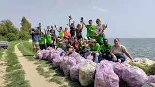 Live - Volontari in azione per raccogliere la plastica