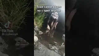 это видео я делала в тик токе
