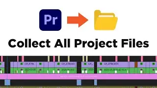 Premiere Pro: Collect All Files (Project Management) — How to Use Adobe Premiere Pro (Part 19)