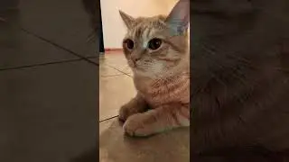 заметили одно слово?