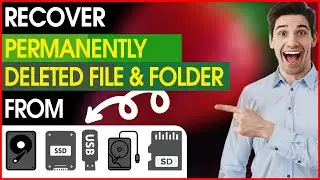 Deleted File Recovery: How To Recover Deleted Files In 2024