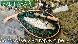 Попал НА РАЗДАЧУ ГОЛАВЛЯ! Малая река принесла сюрприз