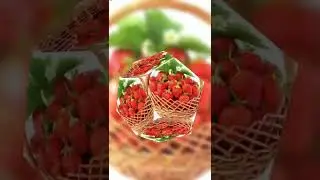 С Днём рождения, Даниил!