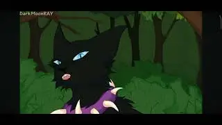 Коты-воители Бич:I'd rather sleep 💤
