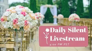 Daily Silent Livestream Ep 21