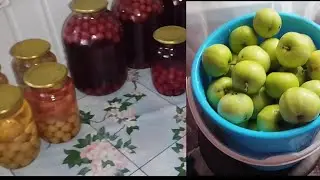 из Сибири на Кавказ/ Мой ответ хейтерам/ заготовки на зиму/