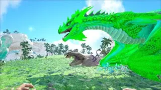 Ark - Mod Omega - Selle unique, Soul paragon et Token Tier