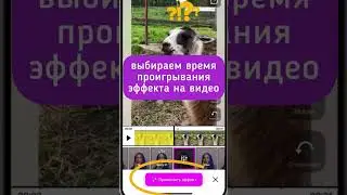 эффекты для видео