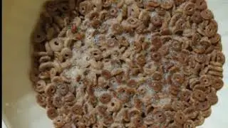 Royal Canin Starter