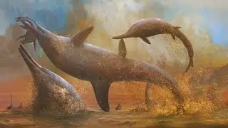 TOP 10 LARGEST Marine Reptiles!