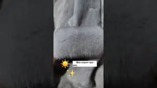 💡☀ Как освещение меняет цвет меха 🔥 