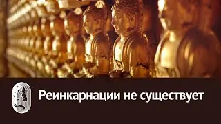 Реинкарнации не существует. Высший Аспект.