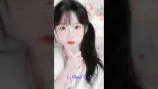 Untitled video