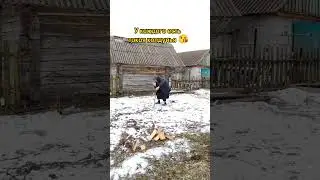 #ведьма
