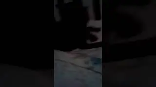 Кошка говорит убери камеру быстро
