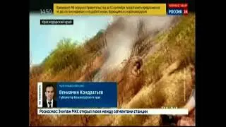 Кондратьев про лесную подстилку