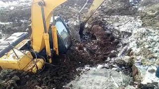 23 марта 2019 г.