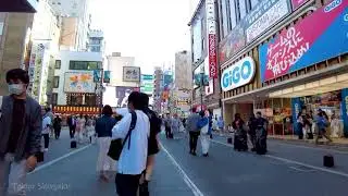 🔴Tokyo Walk 24/7🐶Shibuya, Asakusa, Akihabara, etc.
