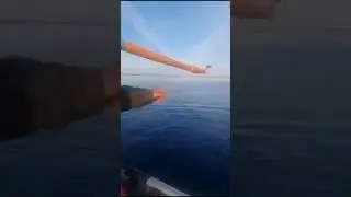 Видео о ловле щуки в мая 2024г