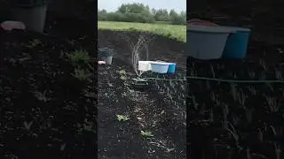 Мания дождя