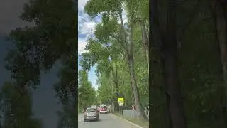 Сыктывкар улица Катаева