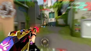 Why LOW SENS is the BEST