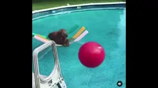 7 minutes of memes, that take the sad away