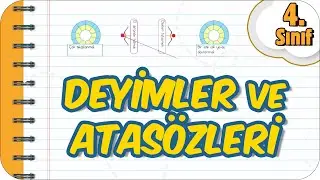 Deyimler ve Atasözleri 📚 4. Sınıf Türkçe 