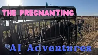 AI Adventures: The Pregnanting