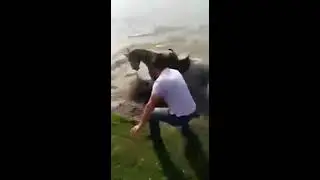 Өлөөрүнө карабай улак чаап эмне зарыл деймин да. Ат эмес өздөрү сууга чөгүп өлгөнү жатышат